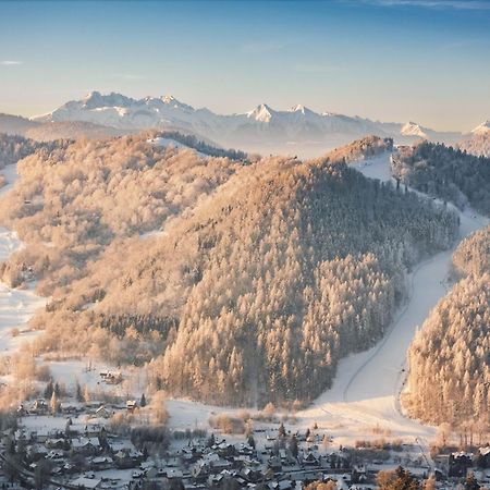Chalet Villa Pod Jemiola Szczawnica Zewnętrze zdjęcie