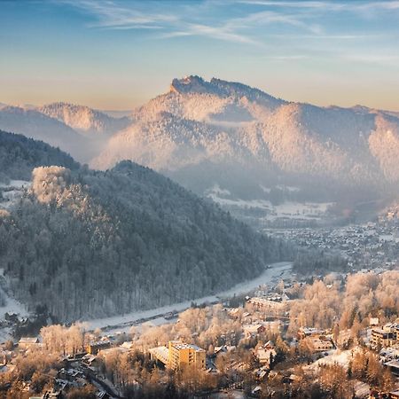 Chalet Villa Pod Jemiola Szczawnica Zewnętrze zdjęcie