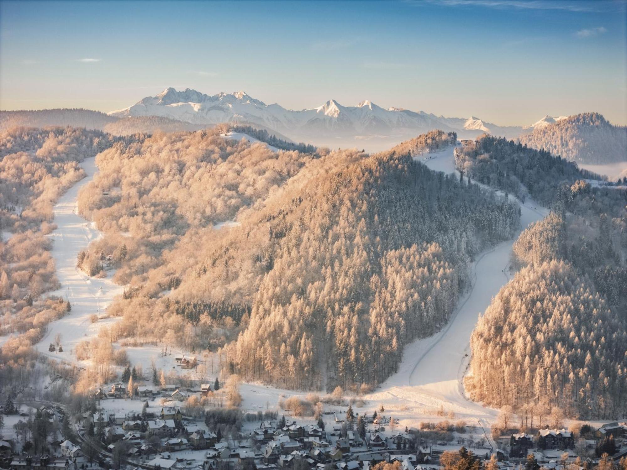 Chalet Villa Pod Jemiola Szczawnica Zewnętrze zdjęcie
