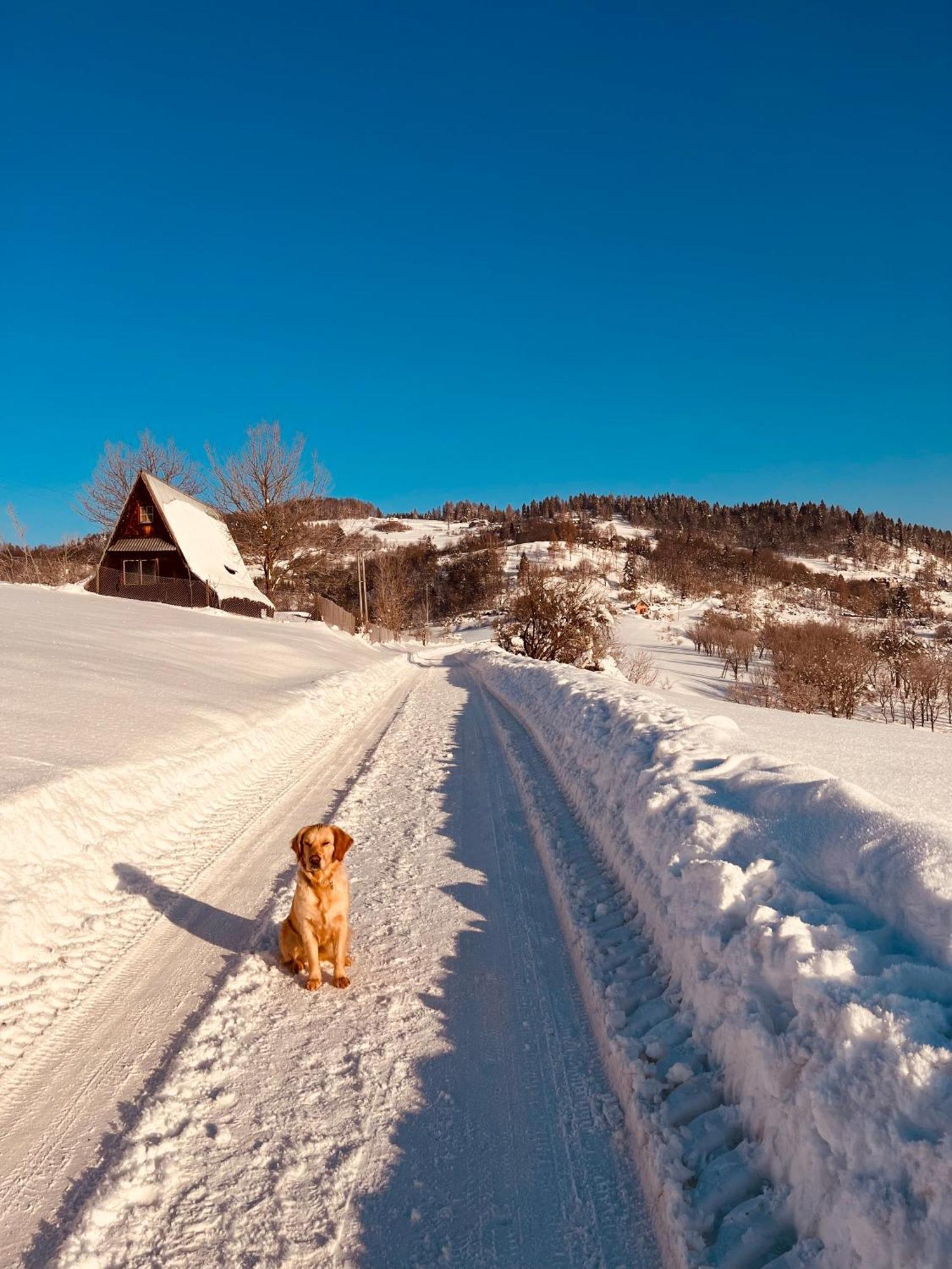 Chalet Villa Pod Jemiola Szczawnica Zewnętrze zdjęcie